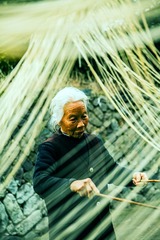 指挥家03.jpg