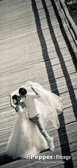 May & Donson-390.jpg