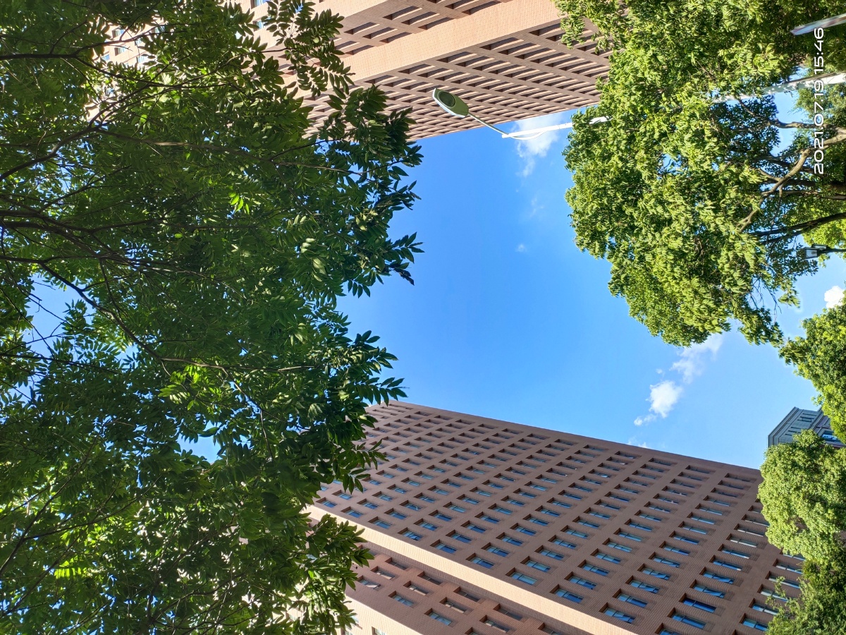 从这个角度往上看还是蛮好看的