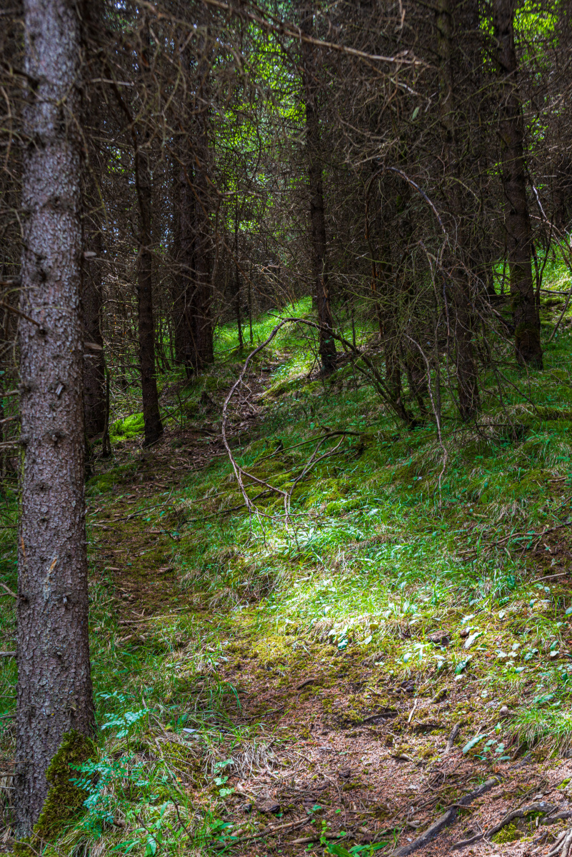 男生坤坤事件引发全网热议，三千万网友围观，四地网友发起讨论，五秒视频疯传全网