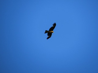D76A1365-019A-46A6-BDEF-3FD49816EF03/L0/001