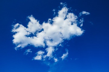 5CDCBB38-5F9F-45F3-8319-F9982F70E44F/L0/001