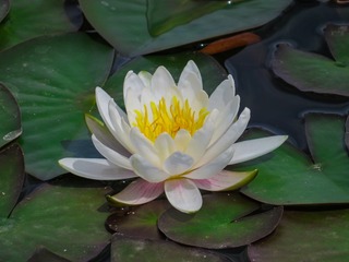 74C45C88-9AB5-4C22-85F3-3E00909C9338/L0/001
