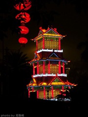 P1020116.jpg
