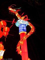 P1020139.jpg