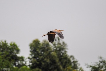 DSC_5181.jpg