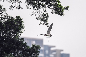 DSC_6353.jpg