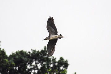 DSC_6639.jpg