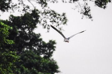 DSC_6669.jpg
