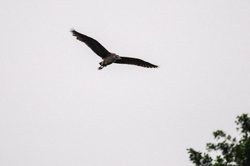 DSC_6729.jpg
