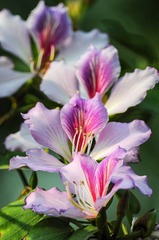 DSC_5261.jpg