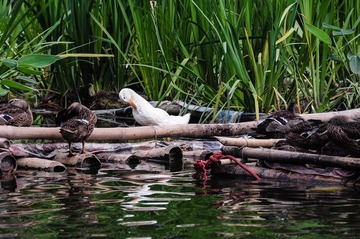DSC_7677.jpg