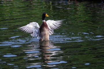 DSC_8054.jpg