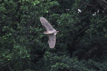 DSC_8419.jpg