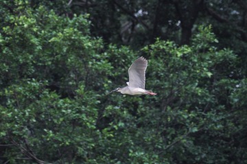 DSC_8473.jpg