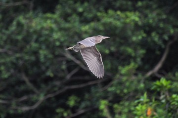 DSC_8947.jpg