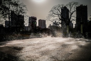 P1030312-2.jpg