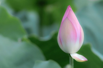 DSC_0180.jpg