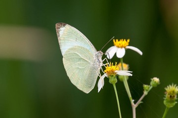 DSC_0322 (2).jpg