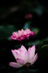DSC_0759.jpg