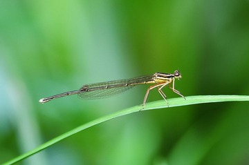 DSC_4975.jpg