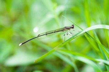 DSC_5042_副本.jpg
