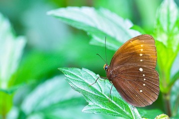 DSC_4951.jpg