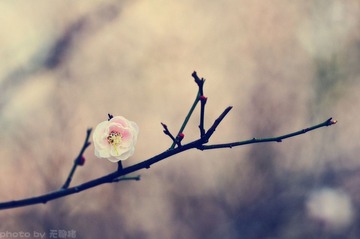 DSC_0644_副本.jpg