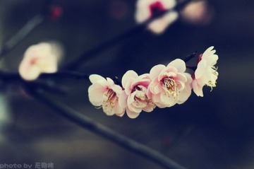 DSC_0652_副本.jpg