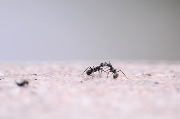 DSC_0888.jpg