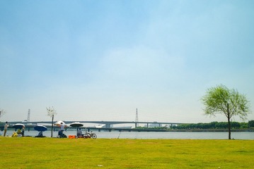 P1050884.jpg