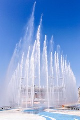 DSC_7549.jpg