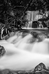 DSC_8279-2.jpg