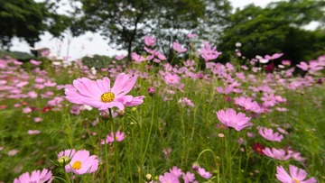 DSC_8342.jpg