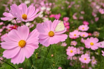 DSC_8361.jpg