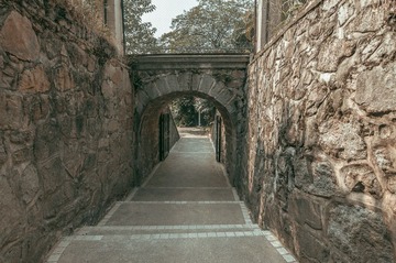 DSC_8593-2.jpg