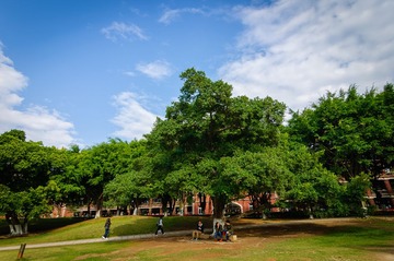 DSC_1628.jpg