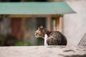 _ZWJ0642.jpg