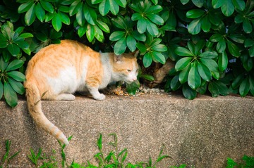DSC_3961.jpg