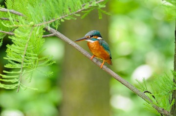 DSC_6099.jpg