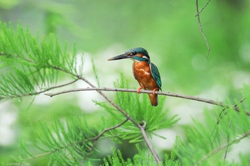 DSC_6118.jpg