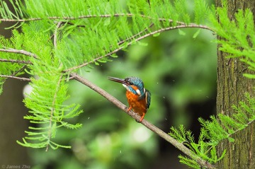 DSC_6137.jpg