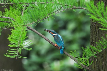 DSC_6145.jpg