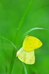 DSC_7962.jpg