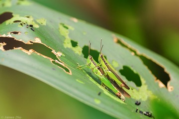 DSC_6628.jpg