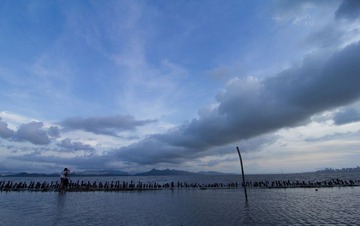 IMG_1650-1.jpg