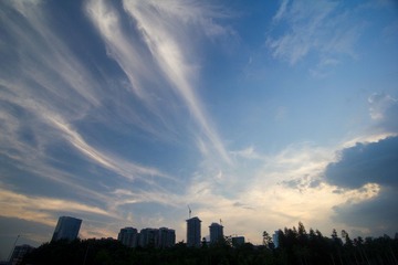 IMG_6722-1.jpg