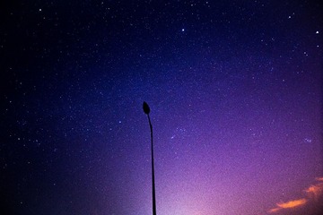 20131116-IMG_3314