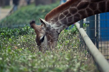 IMG_8848.JPG