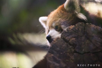 IMG_9632.JPG